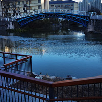 ����ı�����