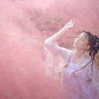 �������Ӳ�����