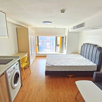 ��ɳ������˹ӯ������ص�����Ԣ��ʱ����