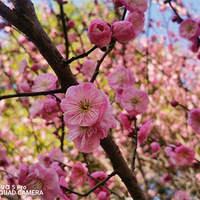 ��Ͼʱ�⣬��÷ȥ