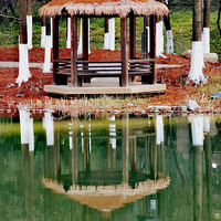 ����ı�����֮��