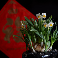 ����ˮ�ɿ���