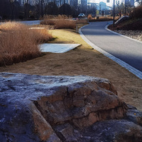 �������ذ��Ķ���