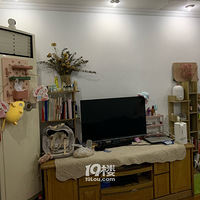 �������ѡ�����������ת����³�����һ�����⳯�����Դ���̨