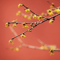 ���£���ã�