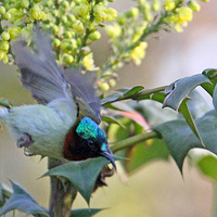 ʮ���ͻ����е�̫�����ۣ�