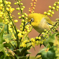 ʮ�����ϵ�������3��