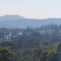 ����ӡ��