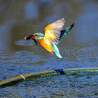 �������㣬���������