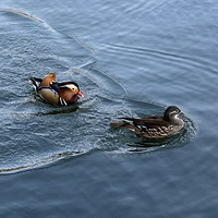 ���㴴����