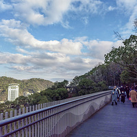 �����̵�