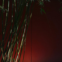 Ǯ����--������԰