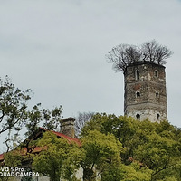 �����죬�Ŵ�����ī�͵Ĵ򿨵ء�