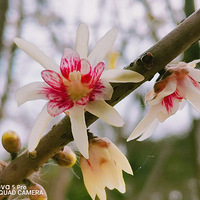 ÷����俪����÷����ʱ