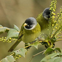 ʮ�����ϵ���ȸ����