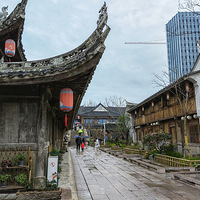 ֵ������������