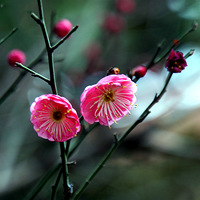 �콨�ӱߺ�÷��