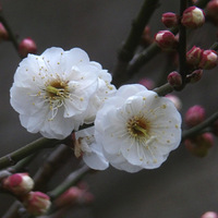 ÷���ֿ��ţ�1��