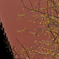 Ǯ�����ĺ�ǽ��÷��