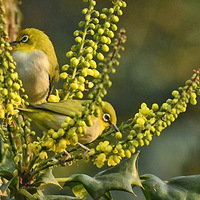 ʮ�����ϵ�������4��