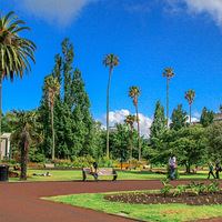 ��Ƭ�׷����¿�����ѧ���ġ�