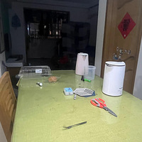 ֱ�⣬������·����������룬��������˫��̨