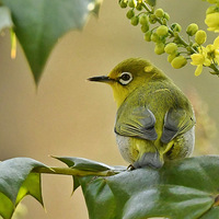 ʮ�����ϵ�������5��