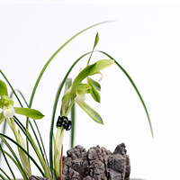 �����ݹ�ׯ23�꾫Ʒ����չ��