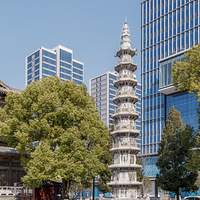 ���� �� һ�鷨�����µĽ���Ⱥ