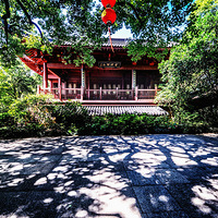 ����֮��ɫ258-��ɽ�㳡�����1