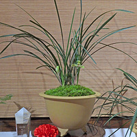 2023���ݹ�ׯ��Ʒ����չ���ֽ�������Ʒ���ͣ�12�ս�����