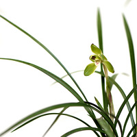 ��ׯ������