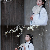 ÷�����������