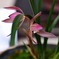 �� ��ׯ������