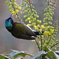 ̫�����ۣ��ɻ���(ʮ����)