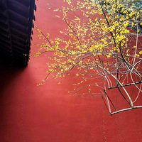 Ǯ��������÷���ˣ���ǽ����÷����Ƭ��2023.02.11