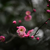 С÷��������次�