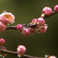 ÷���ֿ��ţ�2��