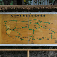 ��Ƭ�׷�����������ľ԰������