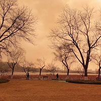 ������������ʫ