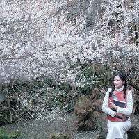 ����÷����ѩ˪