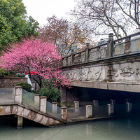 ��������һ�ú�÷ŭ��  2023.02.13