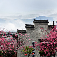 ÷���ٻ�֮�ȡ�������֮������(̨�ݸ����Ļ����ξ���)÷������