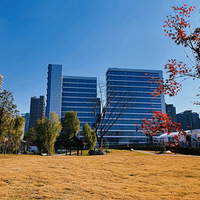 ���н�Ѻ������侫װ��Ԣ����