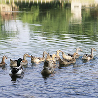 ��Ѽ�⡹�������ŵ㣡��Ҫ�����ٳɺͼ�����