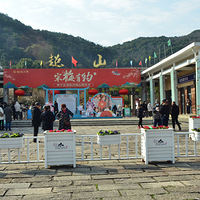 ��ɽ����÷����24mm�����ޡ�