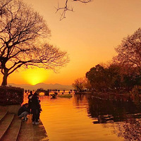 �������ĸ���