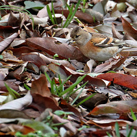 С��ȸ�ֵ���ʳ