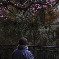 ��̨ɽ������������1400������÷����