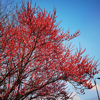 һ·����һ·��